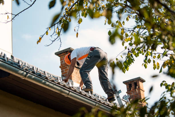 Best Flat Roof Repair Services  in Leoti, KS