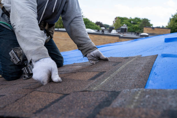 Best Metal Roofing Contractor  in Leoti, KS