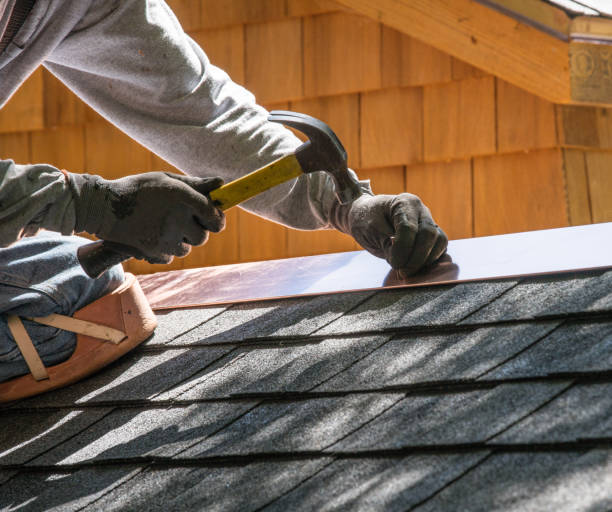 Best Roof Gutter Cleaning  in Leoti, KS